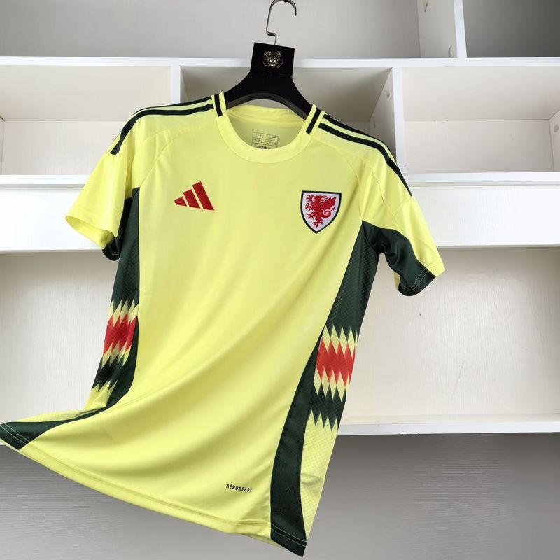Camisa Seleção País de Gales II - 24/25 | Futmantos