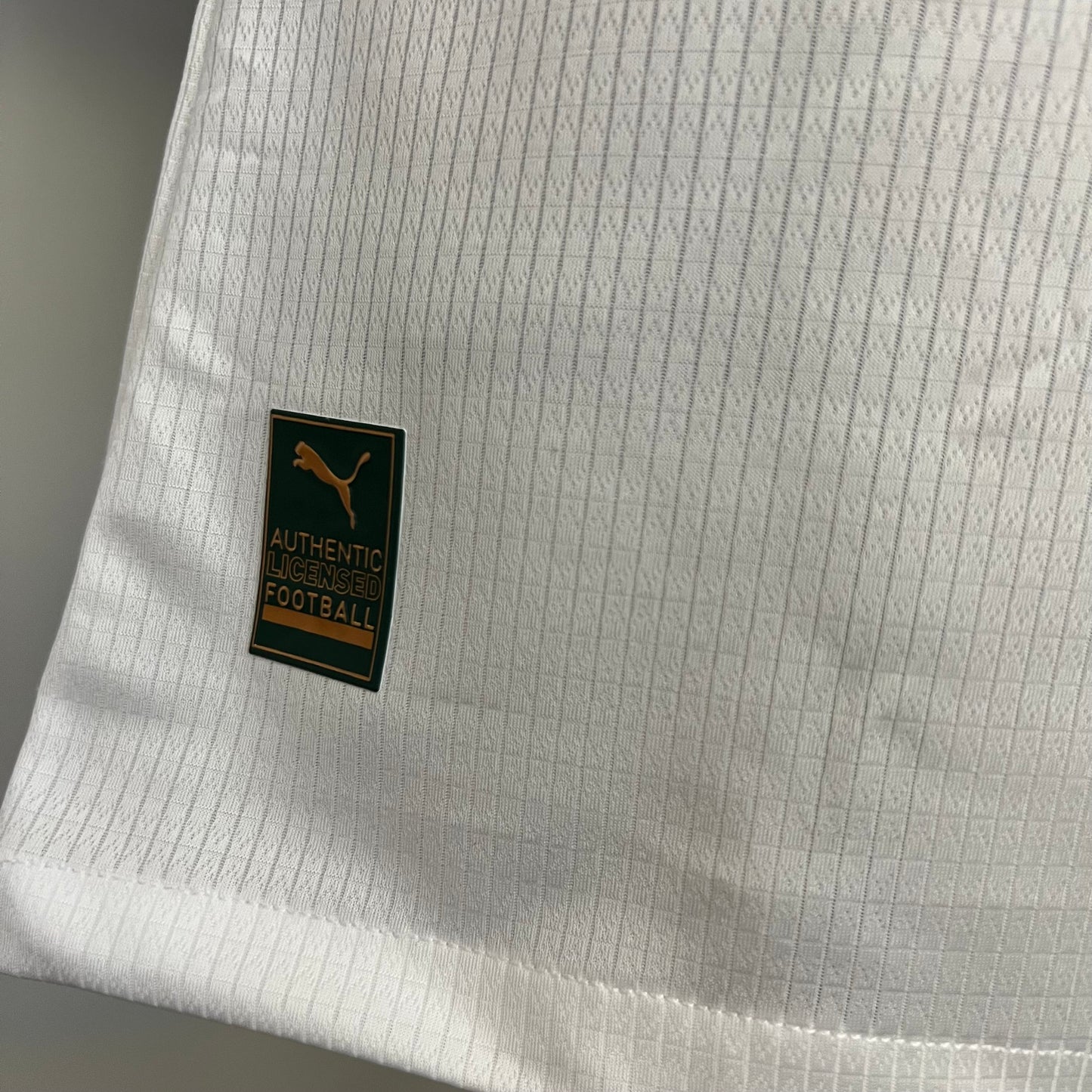 Camisa SEP II 23/24 - Branca - - Masculino Jogador | Futmantos