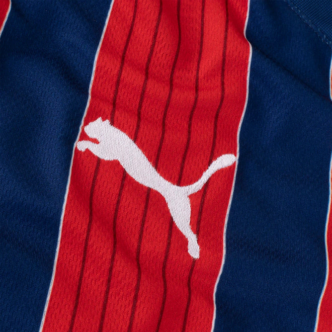 Camisa do Bahia II 25/26 | FutMantos