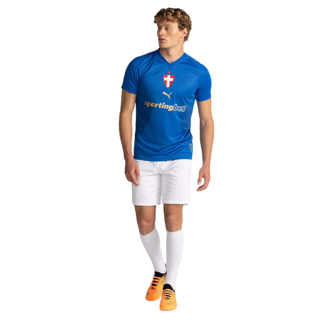 Camisa Palmeiras 2026/27 III Torcedor
