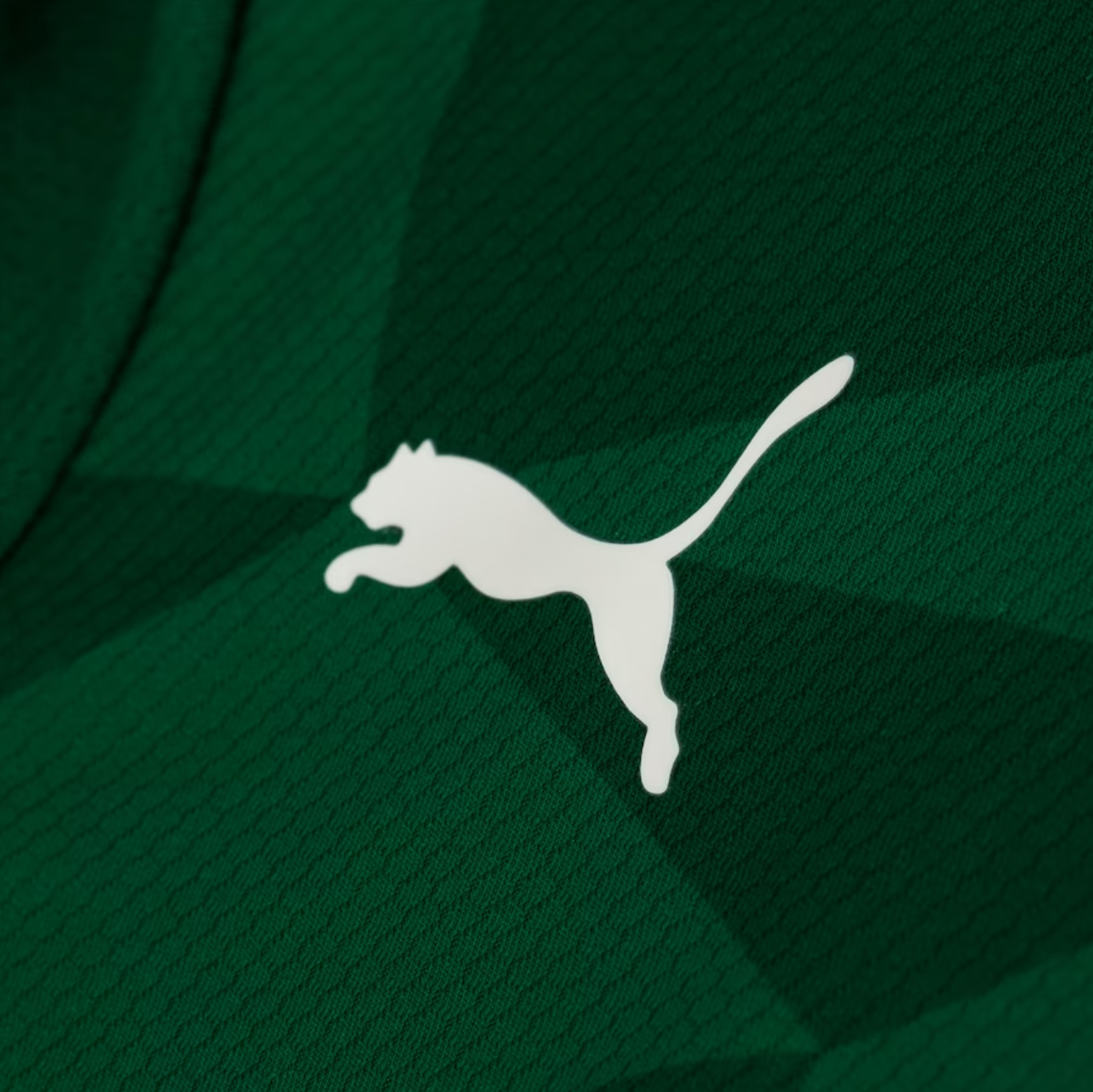 Camisa SEP I 23/24 - Verde | Futmantos