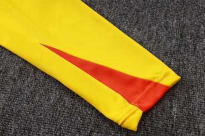 Conjunto Agasalho Brasil amarelo | FutMantos
